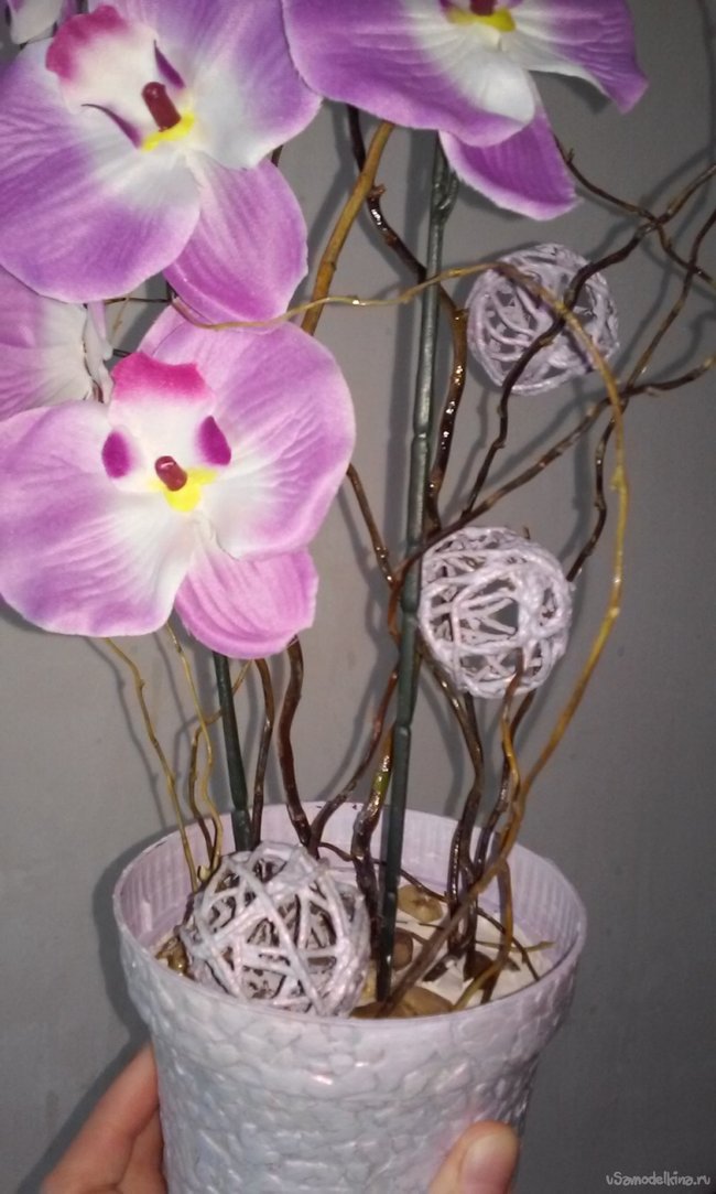 Декоративная орхидея в цветочном горшке