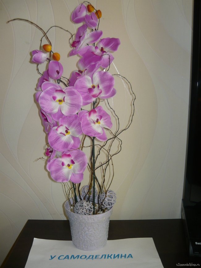 Декоративная орхидея в цветочном горшке