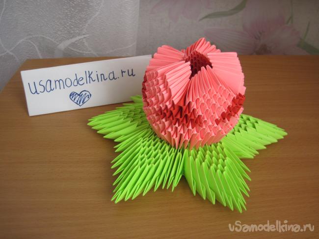 Кувшинка в технике модульного оригами
