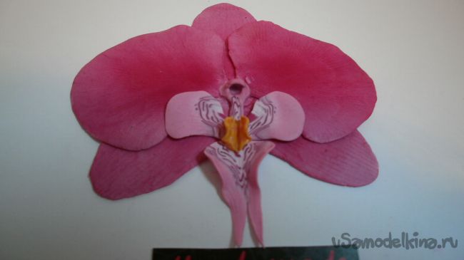 Орхидея из полимерной глины