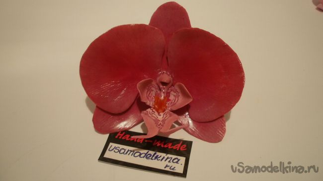 Орхидея из полимерной глины