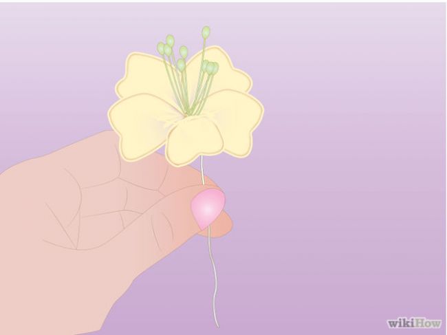 Как сделать цветы из чулок