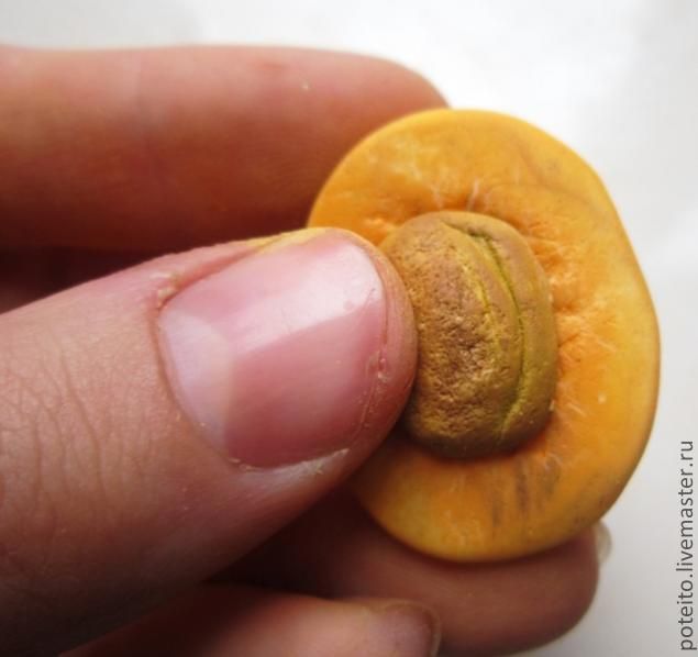 Сочный абрикос из полимерной глины