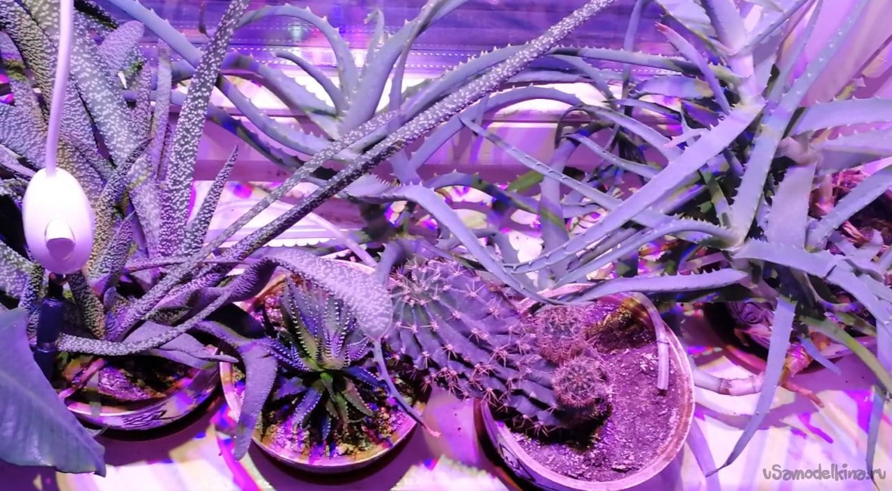 Фитосветильник для растений на светодиодных матрицах