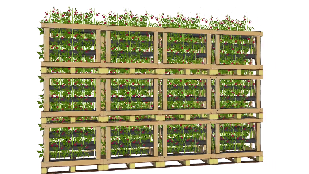 Cube Farm: модульная растениеводческая платформа