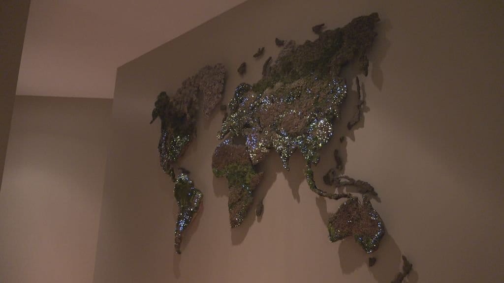 Карта мира из мха, с подсветкой городов