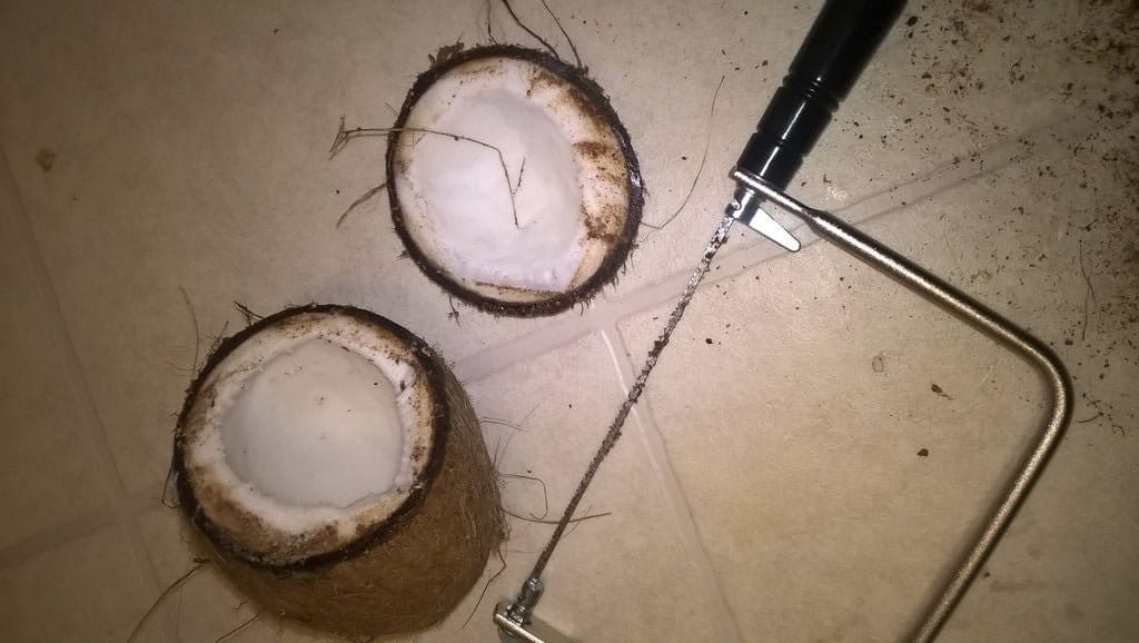 Активная колонка в скорлупе от кокосового ореха