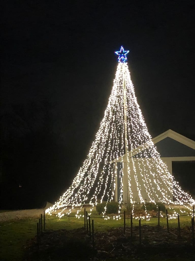 Огромная новогодняя елка из светодиодных гирлянд