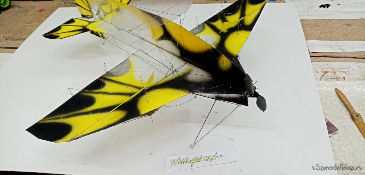 Специальный самолет «класса F3P» Крыло бабочки