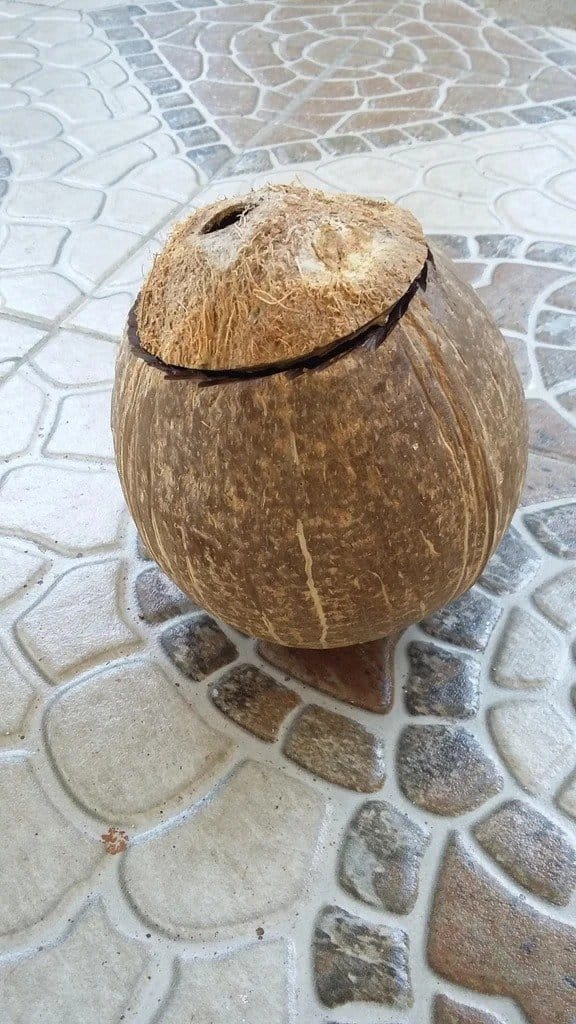 Светильник из кокоса