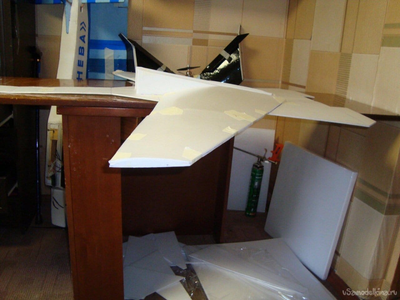 Экспериментальная авиамодель «Беркут» СВ – 180 с крылом обратной стреловидности