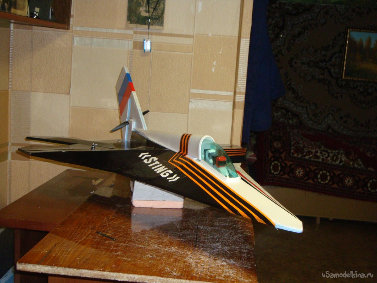 Экспериментальная авиамодель «Жало»  АлиС – 09 «Sting»