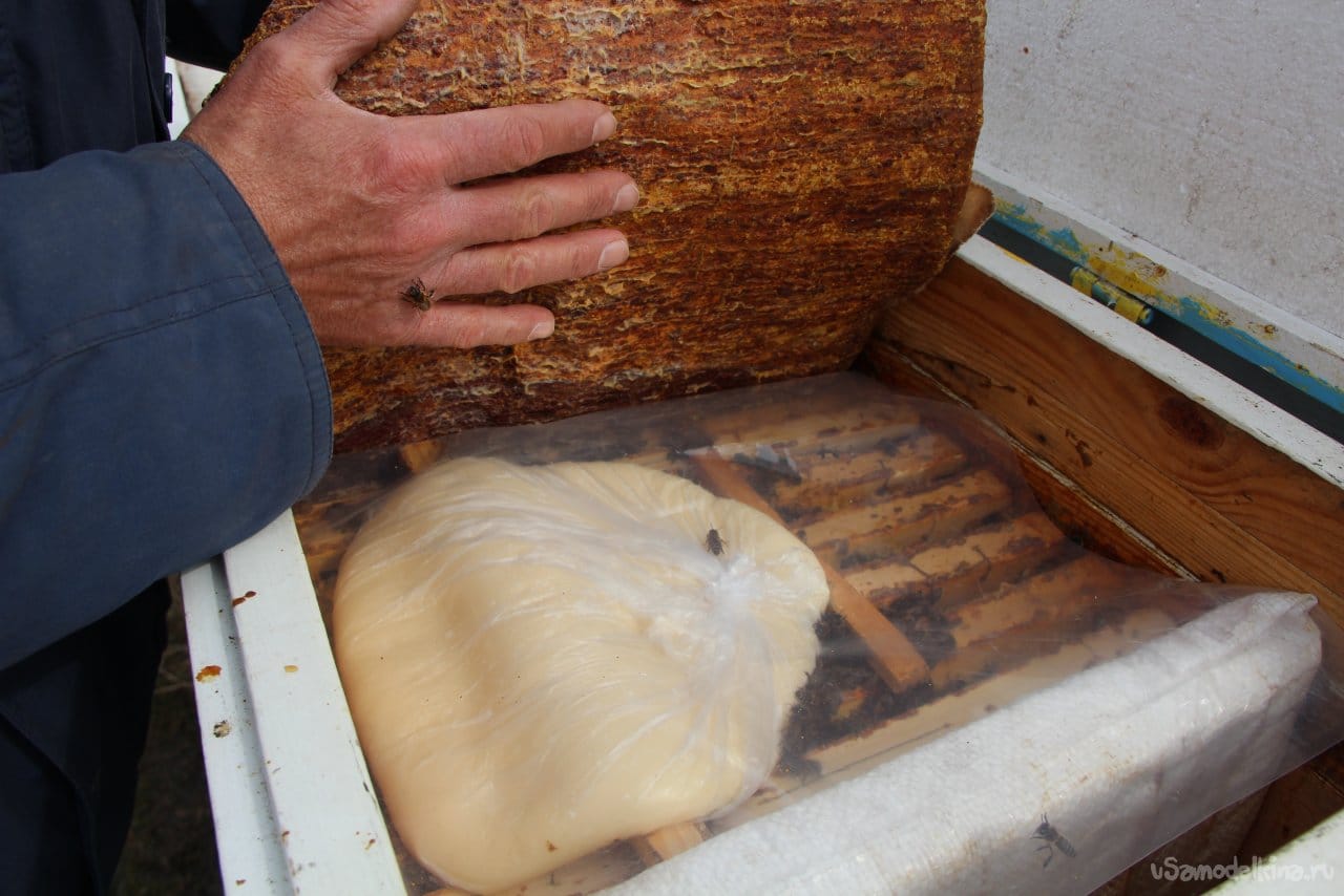 Зимняя подкормка пчел канди