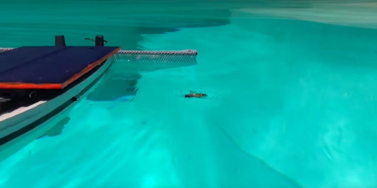 Лодка-робот, очиститель бассейна