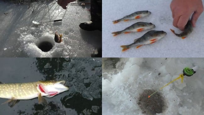 Рыбалка зимняя для начинающих