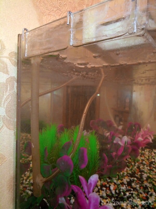Аквариум с начинкой 3. Фильтр из подручных материалов