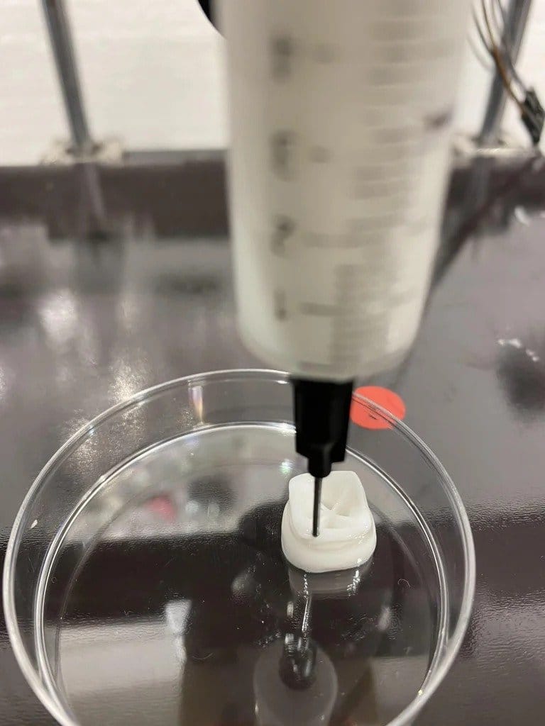 How to build a bioprinter