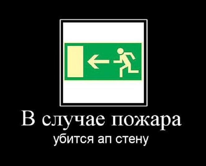 В случае пожара горите. Картинка в случае пожара горите. В случае пожара горите кот. В случае пожара горите кот фото. Апстену демотиватор.